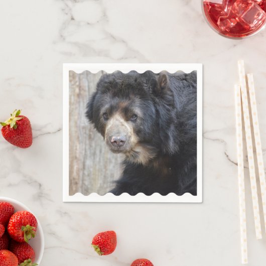 Schattig zwart Beer Servetten (Insitu)