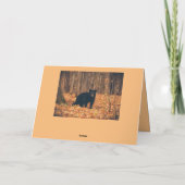 Schattig zwart Beer Vaderdag Kaart (Achterkant)