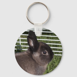 Schattig zwart konijn op groen gras sleutelhanger