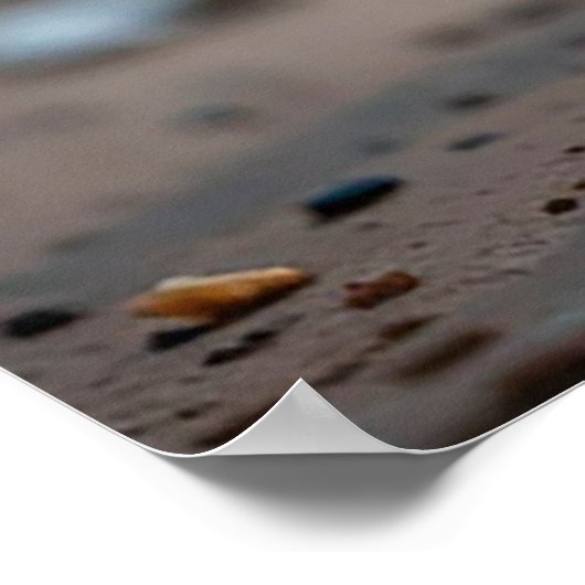 Schattig zwart-wit kitten buiten zitten poster (Hoek)