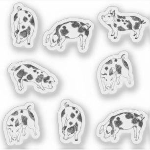 Schattig zwart-wit met de hand getekend varken met sticker