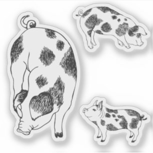 Schattig zwart-wit met de hand getekend varken met sticker