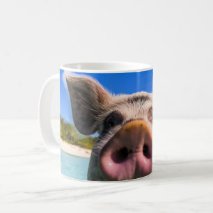 Schattig Zwemmend Varken Exuma Bahama's Koffiemok