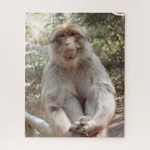 Schattige aap legpuzzel