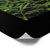 Schattige Abstracte Kleine Moose Poster (Hoek)