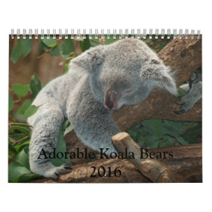 Schattige agenda Koala Beren 2016 Kalender