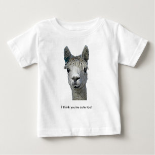 Schattige Alpaca