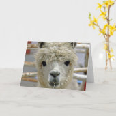 Schattige Alpaca Kaart (Gele Bloem)