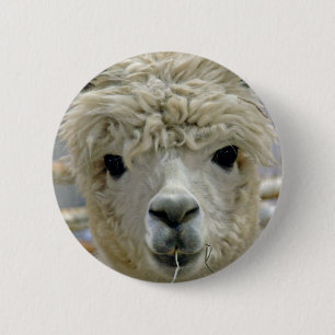 Schattige Alpaca Ronde Button 5,7 Cm