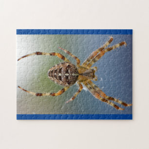 Schattige Arachnid Spider Foto Puzzle Legpuzzel