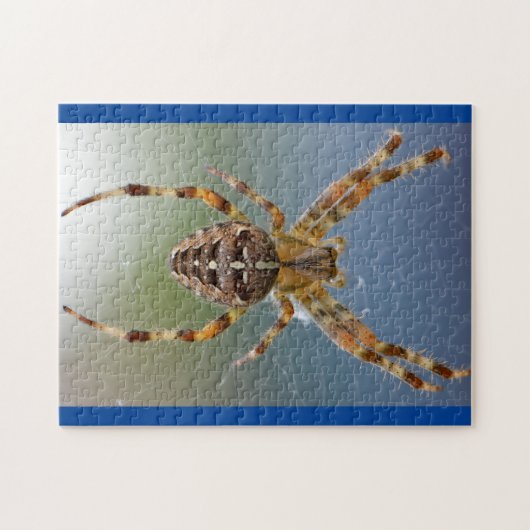 Schattige Arachnid Spider Foto Puzzle Legpuzzel (Horizontaal)