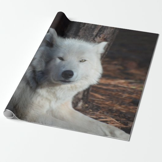 Schattige Arctische Wolf Cadeaupapier (Uitgerold)