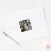 Schattige Aussie Puppy Hondenliefhebber Australian Vierkante Sticker (Envelop)
