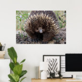 Schattige Australische Echidna Poster (Thuiskantoor)