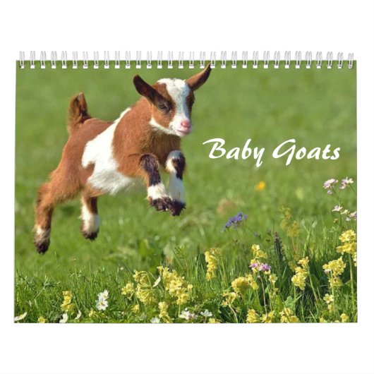 Schattige Baby agenda Kalender (Hoes)