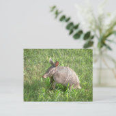 Schattige Baby Armadillo Briefkaart (Staand voorkant)