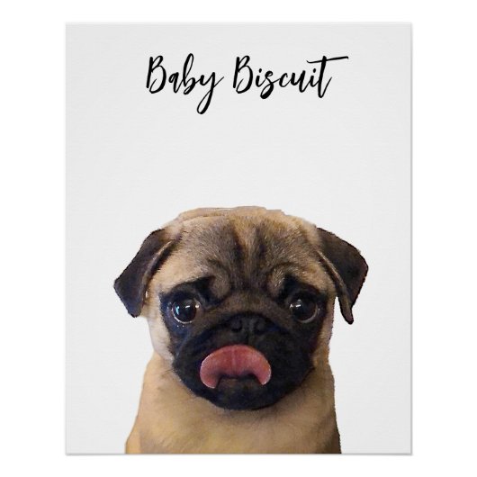 Schattige Baby Biscuit Pug Portrait Poster Perfect Poster (Voorkant)