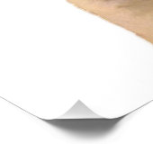 Schattige Baby Biscuit Pug Portrait Poster Perfect Poster (Hoek)