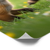 Schattige Baby-bosdieren Poster (Hoek)