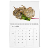 Schattige Baby Bunnies Kalender (Mar 2026)