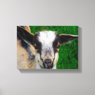 Schattige Baby Canvas Afdruk