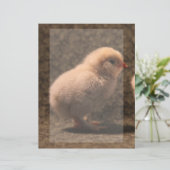 Schattige Baby Chick Stationery (Staand voorkant)