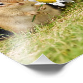 Schattige Baby Chipmunk met Daisy Foto Afdruk (Hoek)