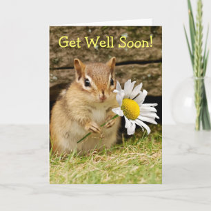 Schattige Baby Chipmunk met Daisy - Get Well Soon! Kaart