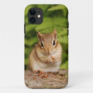 Schattige Baby-chipmunk met Snack iPhone 11 Hoesje