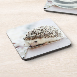 Schattige baby egel foto bier onderzetter