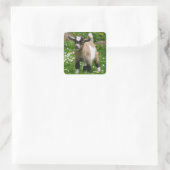 Schattige Baby Geit kind Vierkante Sticker (Tas)