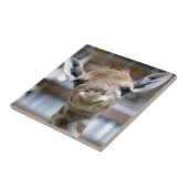 schattige baby giraffe tegeltje (Zijkant)