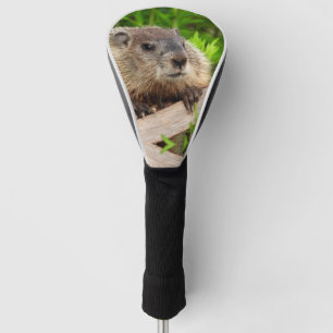 Schattige baby Grondhog/houtsnij dicht Golfheadcover