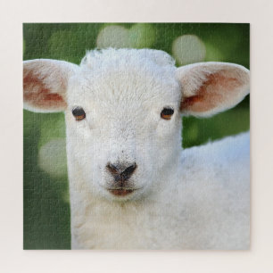 Schattige Baby Legpuzzel