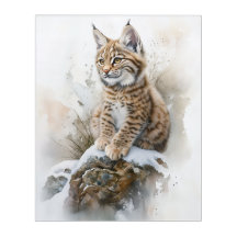 Schattige Baby Lynx – Waterverf Acryl Kunst