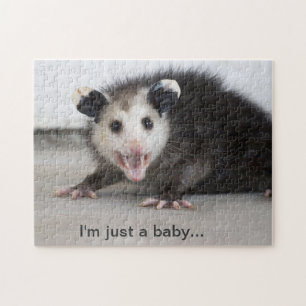 schattige baby opossum foto puzzel