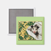 Schattige Baby Opossum Magneet (Voorkant / Achterkant)