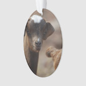 Schattige Baby Ornament (voorkant)