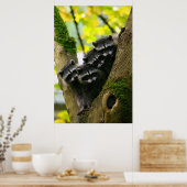 Schattige Baby Poster (Keuken)