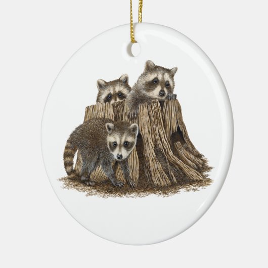 Schattige Baby Raccoons Ornament (Links)