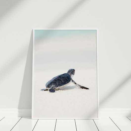Schattige Baby Zee Schildpad op het strand Poster