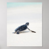 Schattige Baby Zee Schildpad op het strand Poster (Voorkant)