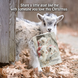 Schattige babygeiten - Sneeuwbaby's 9 Kerstmis Feestdagen Kaart