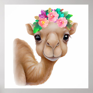 Schattige babykameel poster