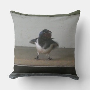 Schattige Barn Swallow Sierkussen