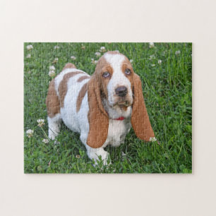 Schattige Basset Hound Puppy Legpuzzel