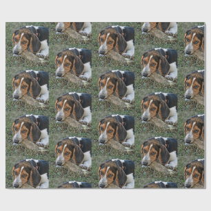 Schattige Beagle die op een bot knaagt Cadeaupapier