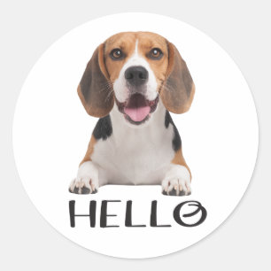 Schattige Beagle Puppies Hond Hallo Ik Mis Je Vrie Ronde Sticker