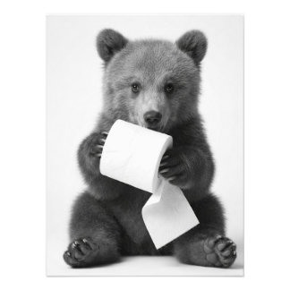Schattige Beer met Toiletpapier Mooie Minimalistis Foto Afdruk