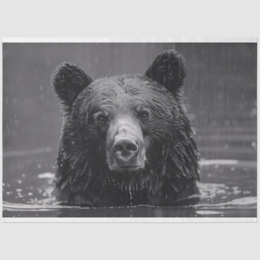 Schattige Beer zwart-wit decoupage Tissuepapier (Voorkant)